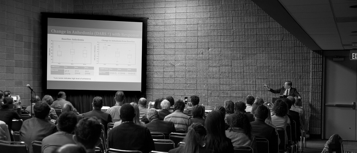 Attendees at APA 2016